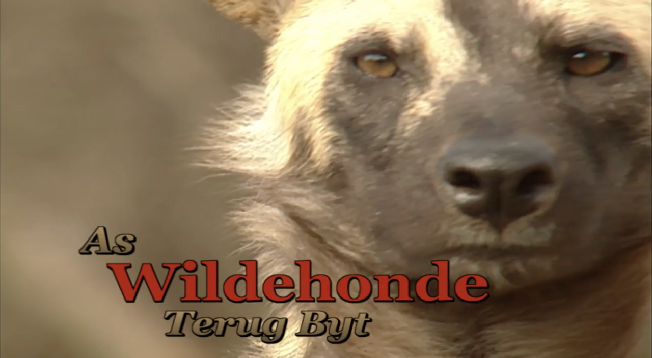 As Wildehonde Terug Byt