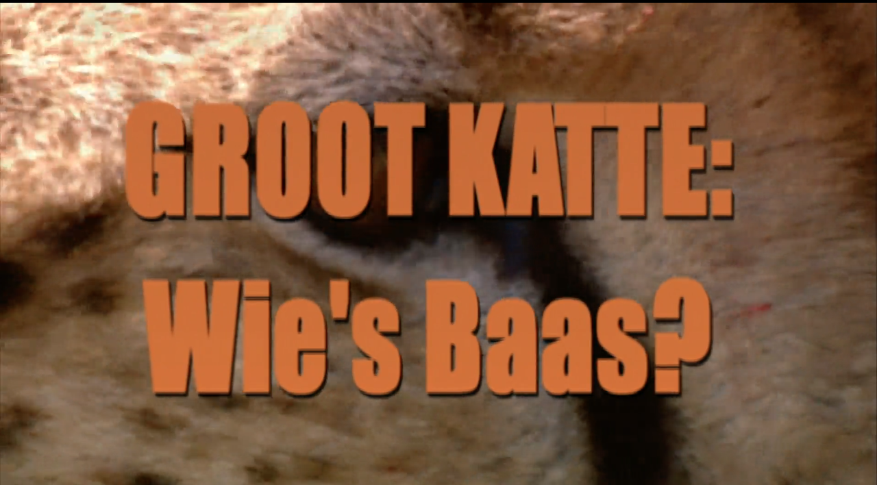 Groot Katte: Wie's Baas?