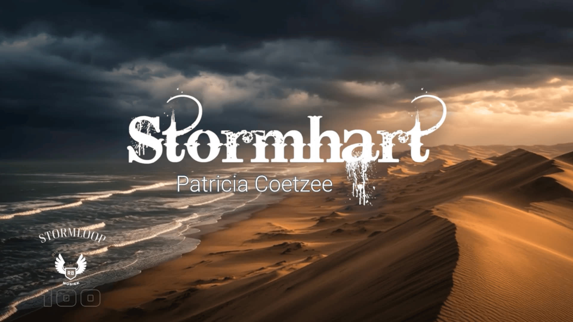 Patricia Coetzee - Stormhart