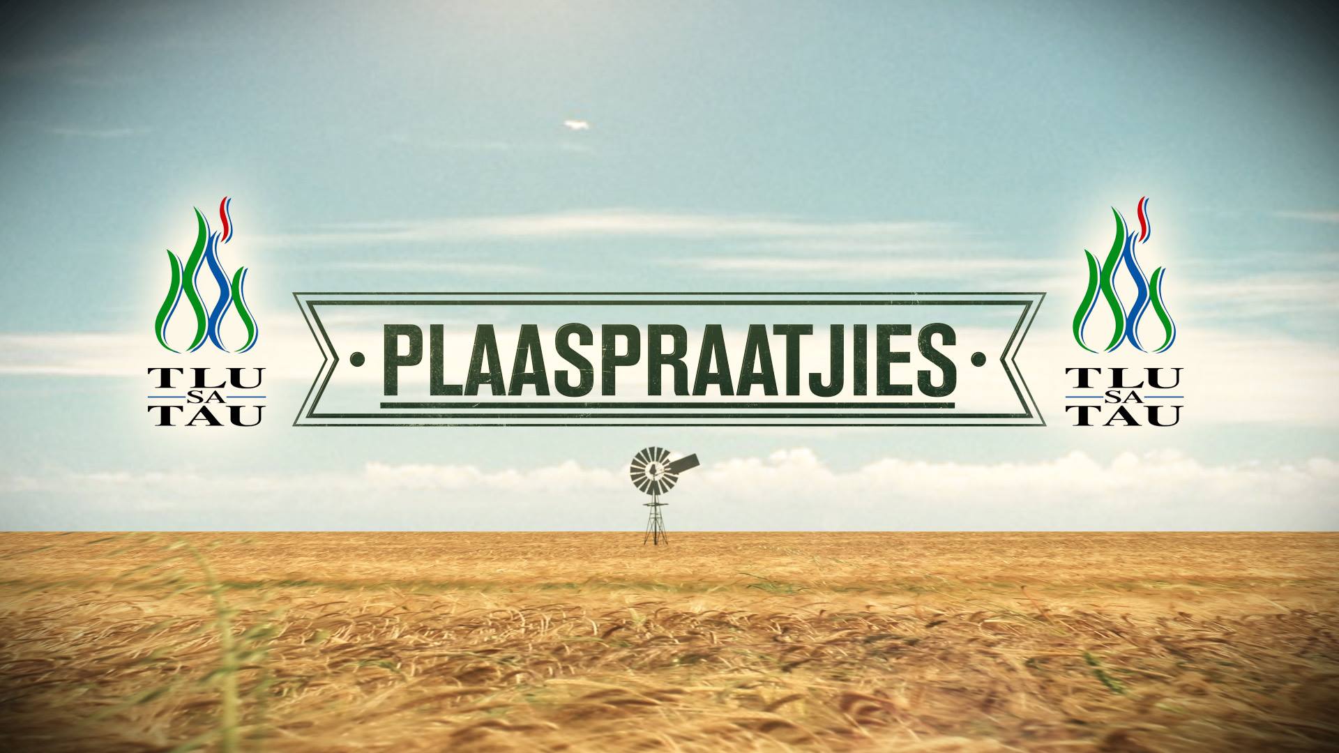 Plaaspraatjies