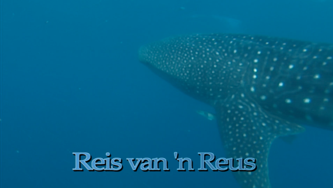 Reis van 'n Reus