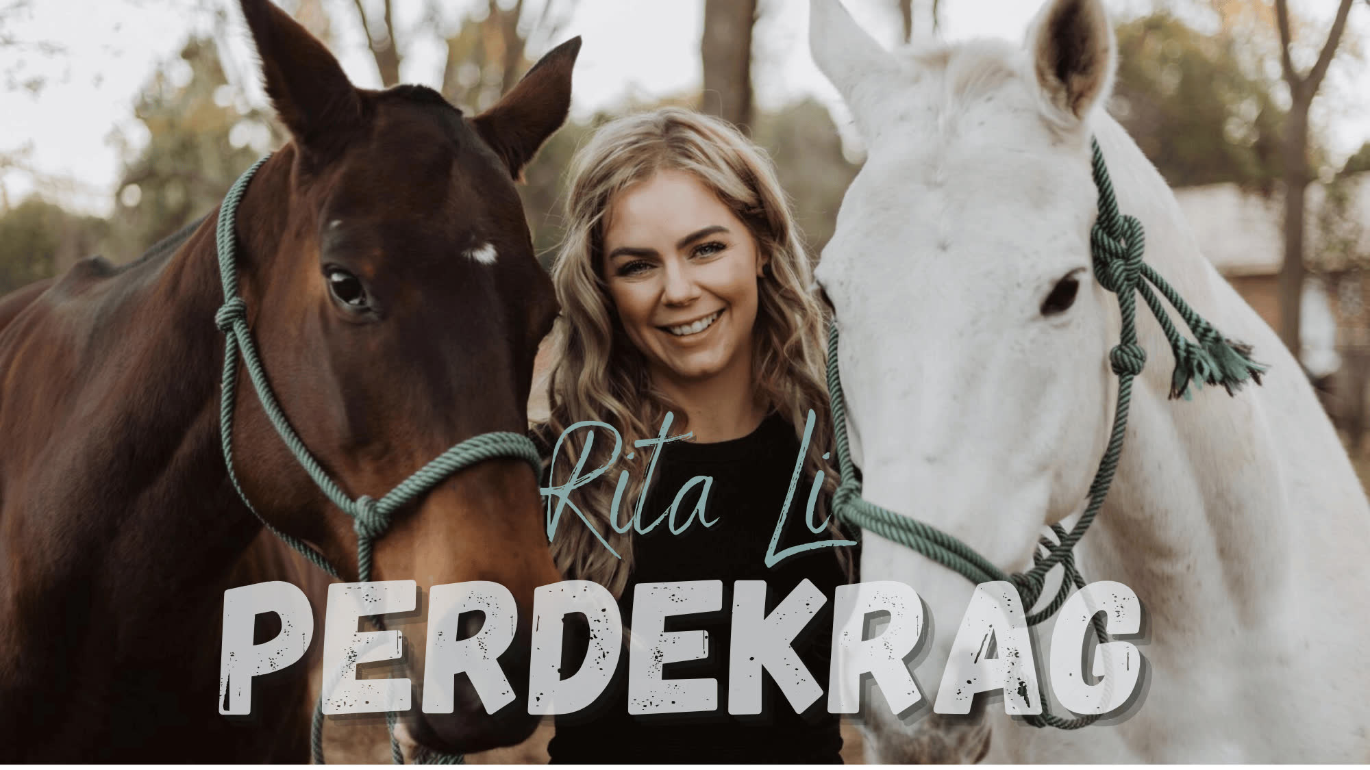 Rita Li - Perdekrag