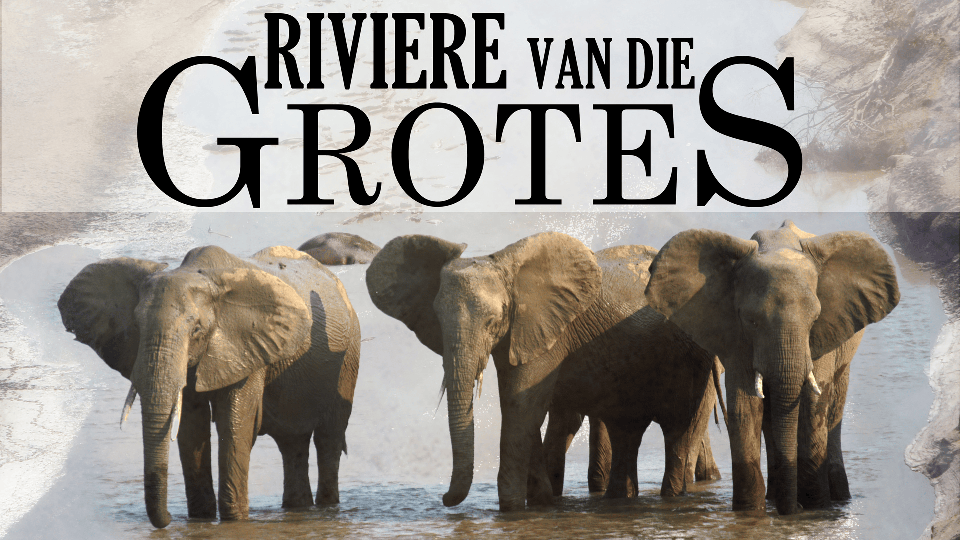 Riviere van die Grotes