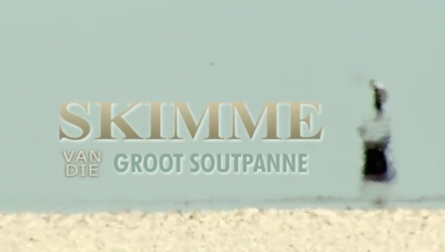 Skimme van die Groot Soutpanne