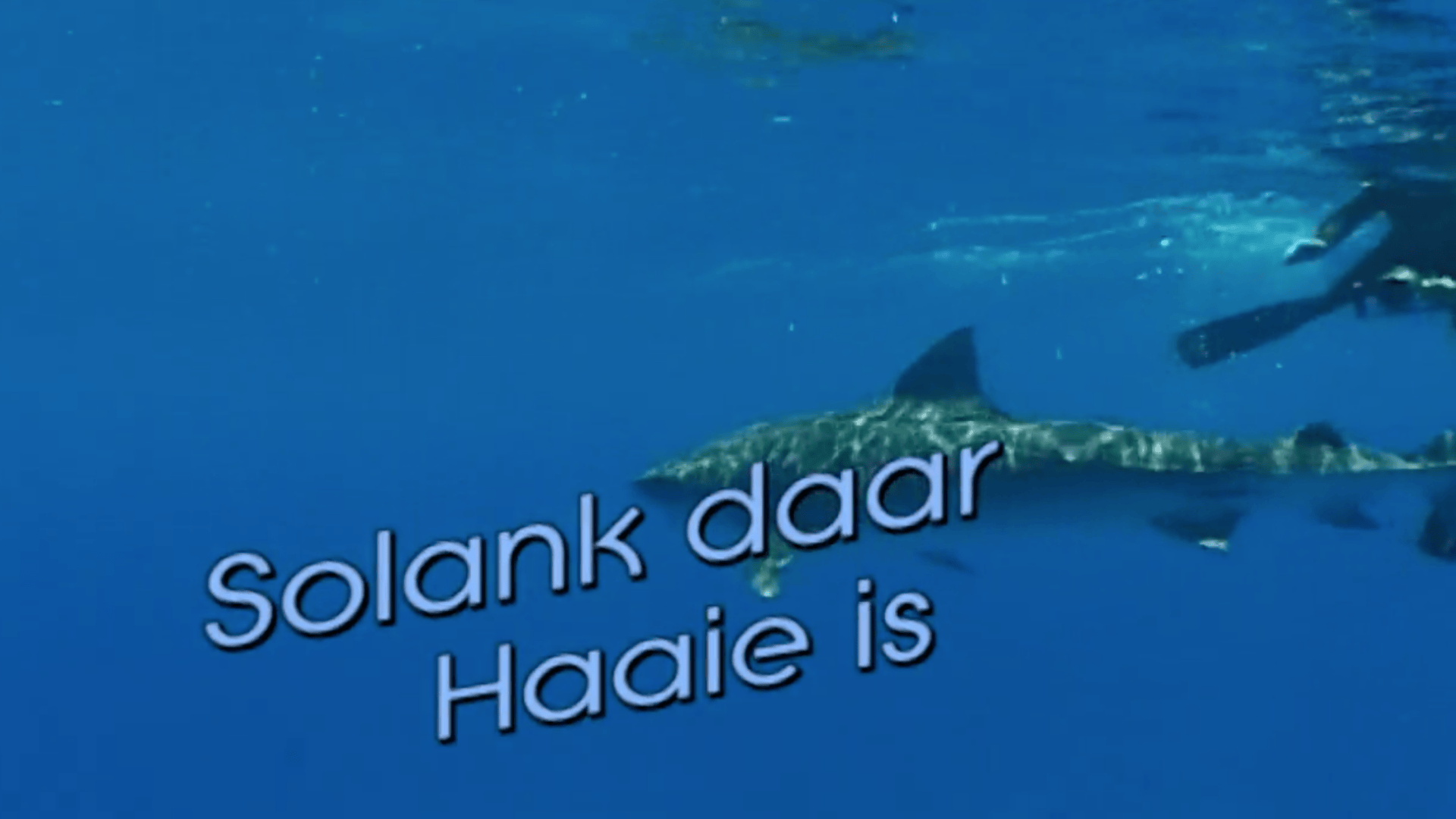 Solank Daar Haaie Is