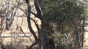 Laai en Koebaai! Ep09