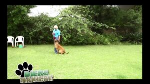 Diere Maniere R1 Ep09