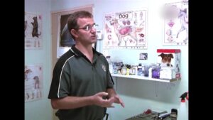 Diere Maniere R1 Ep08