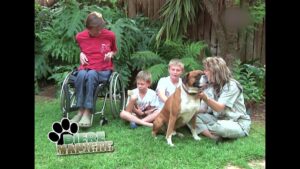 Diere Maniere R1 Ep11