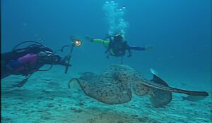 Koraalrif Avonture Ep01 - Grasie In die Water