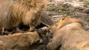 Riviere Wat Gee en Neem