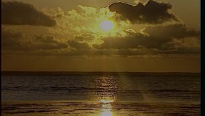 Koraalrif Avonture Ep11 - Reuse Slapende Haaie