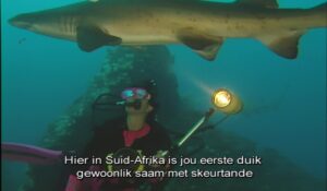 Koraalrif Avonture Ep03 - Knopstert Skeurtandhaai