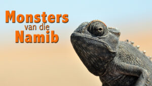 Monsters van die Namib