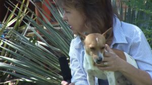 Diere Maniere R2 Ep02