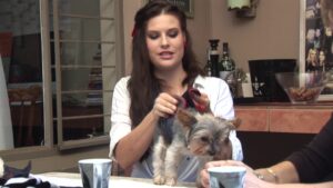 Diere Maniere R2 Ep04