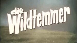 Die Wildtemmer